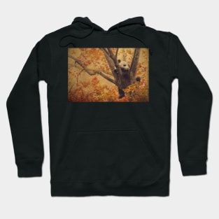 Time Out Hoodie